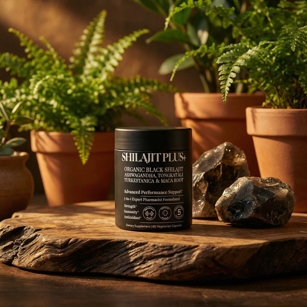 SHILAJITPLUS+ supplement on natural wood with terracotta plant pots and warm afternoon light