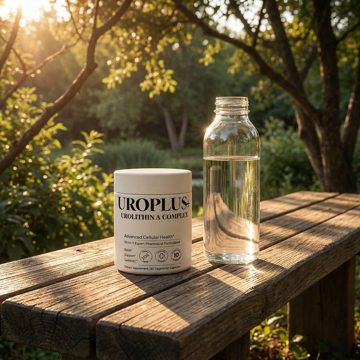 UROPLUS+ Urolithin A on a natural wood bench in morning sunlight filtering through trees