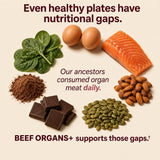 Beef Organs+ For Women - PT03