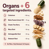 Beef Organs+ For Women - PT04