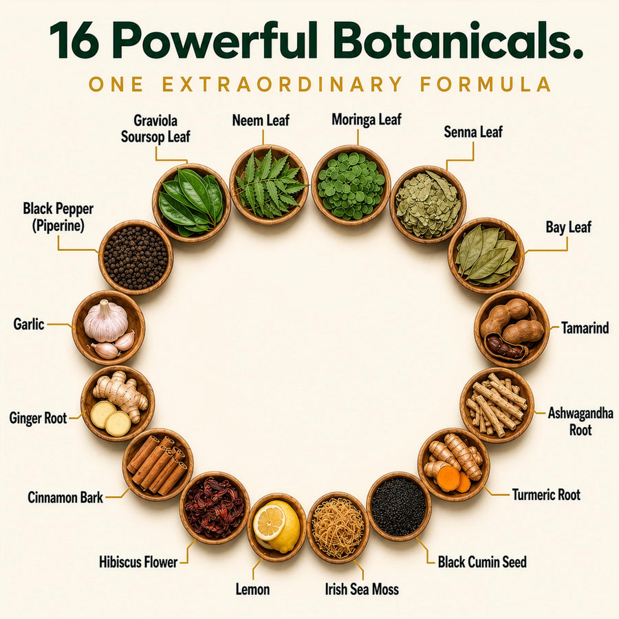 16 botanicals in SOURSOP BITTERS+: graviola soursop leaf, sea moss, black seed, moringa, turmeric