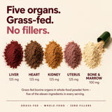 Beef Organs+ For Women - PT02