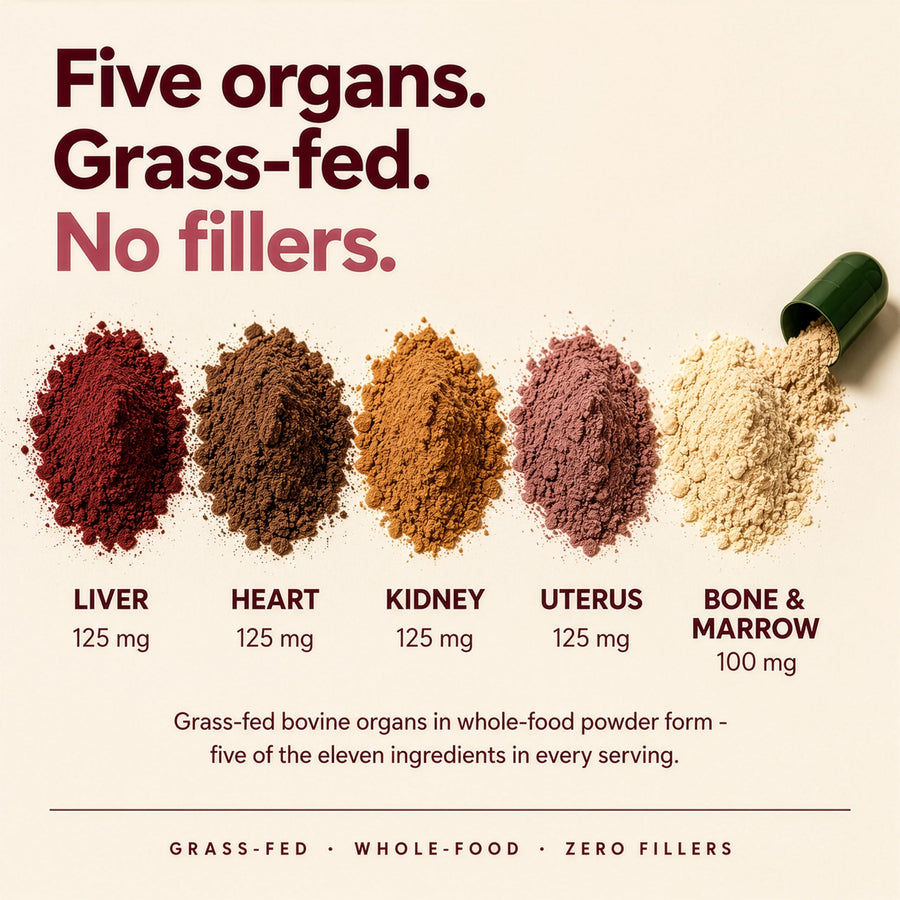 Beef Organs+ For Women - PT02