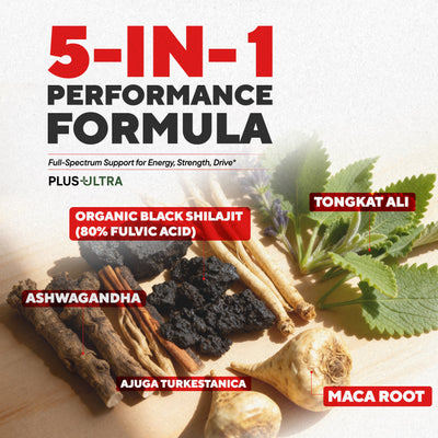 SHILAJITPLUS+  5-in-1 Black Shilajit Complex