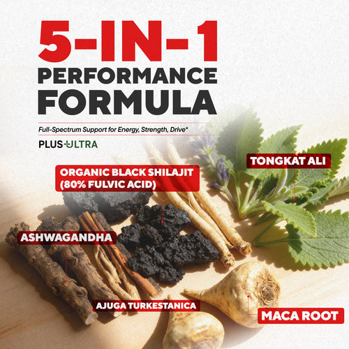 SHILAJITPLUS+  5-in-1 Black Shilajit Complex