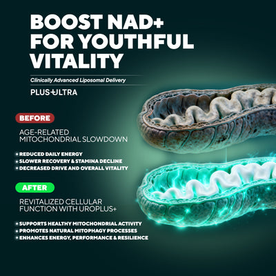 UROPLUS+ 10-in-1 Urolithin + NAD+