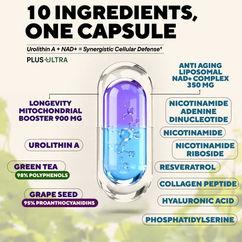 UROPLUS+ 10-in-1 Urolithin + NAD+
