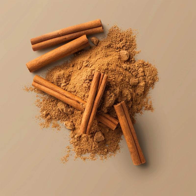 Cinnamon Extract Powder