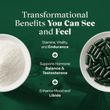 Metabolic Reset Bundle