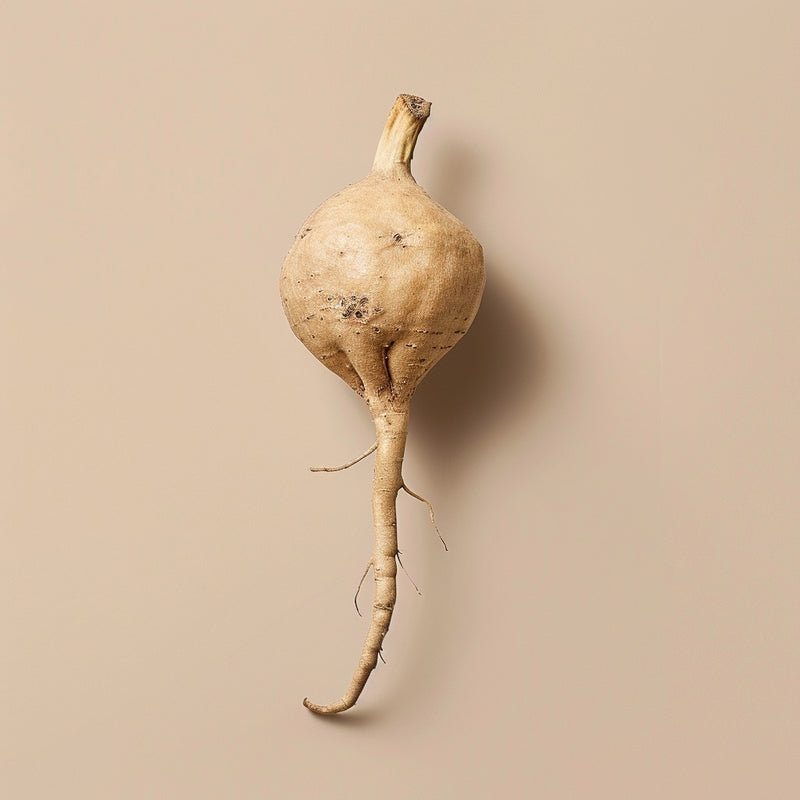 Maca Root