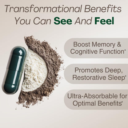 MAGPLUS+ — 7-in-1 Liposomal Magnesium L-Threonate Brain and Sleep Supplement