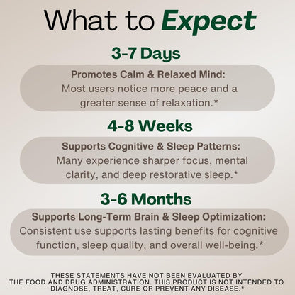 MAGPLUS+ — 7-in-1 Liposomal Magnesium L-Threonate Brain and Sleep Supplement