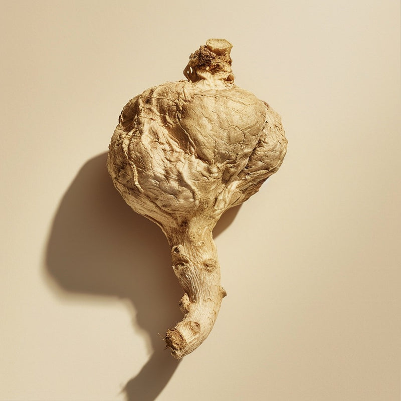 Organic Maca Root