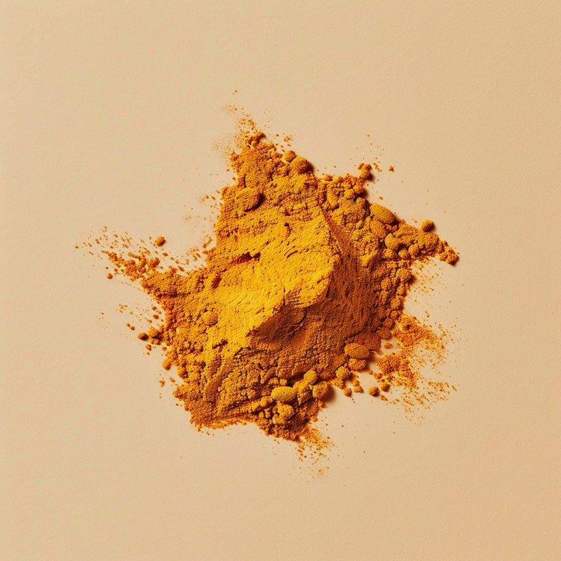 Turmeric Extract powder