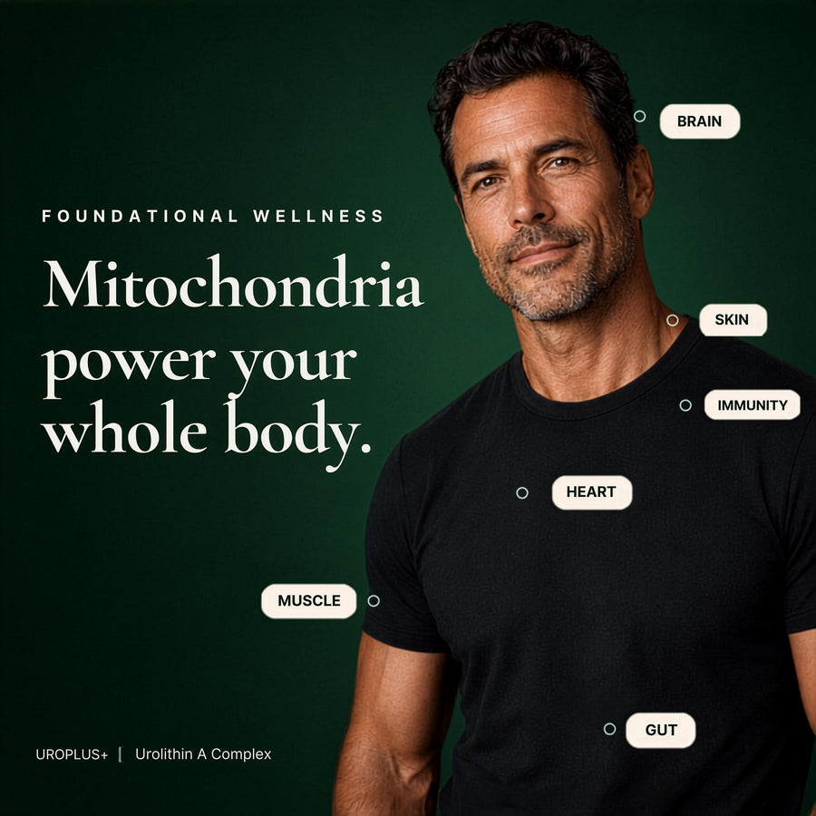 UROPLUS+ 10-in-1 Urolithin A Longevity Complex