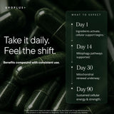 UROPLUS+ 10-in-1 Urolithin A Longevity Complex