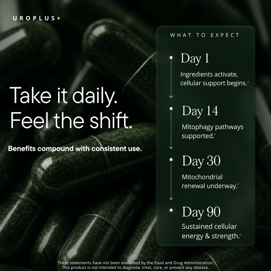UROPLUS+ 10-in-1 Urolithin A Longevity Complex