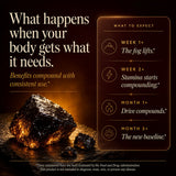 SHILAJITPLUS+  5-in-1 Black Shilajit Complex