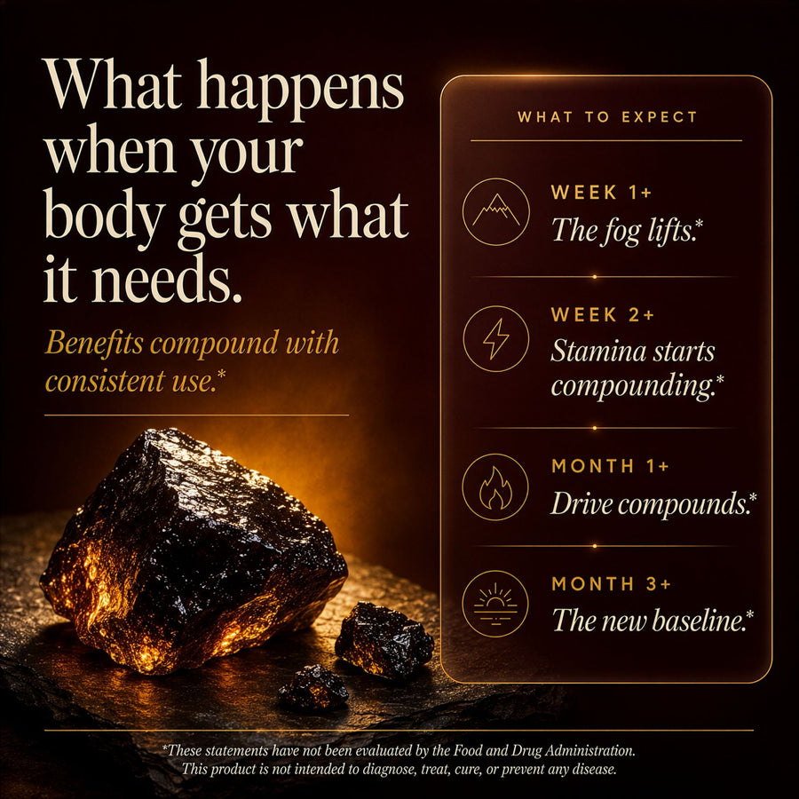 SHILAJITPLUS+  5-in-1 Black Shilajit Complex