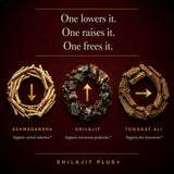 SHILAJITPLUS+  5-in-1 Black Shilajit Complex