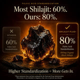 SHILAJITPLUS+  5-in-1 Black Shilajit Complex