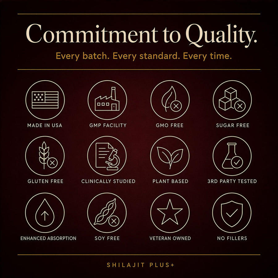 SHILAJITPLUS+  5-in-1 Black Shilajit Complex