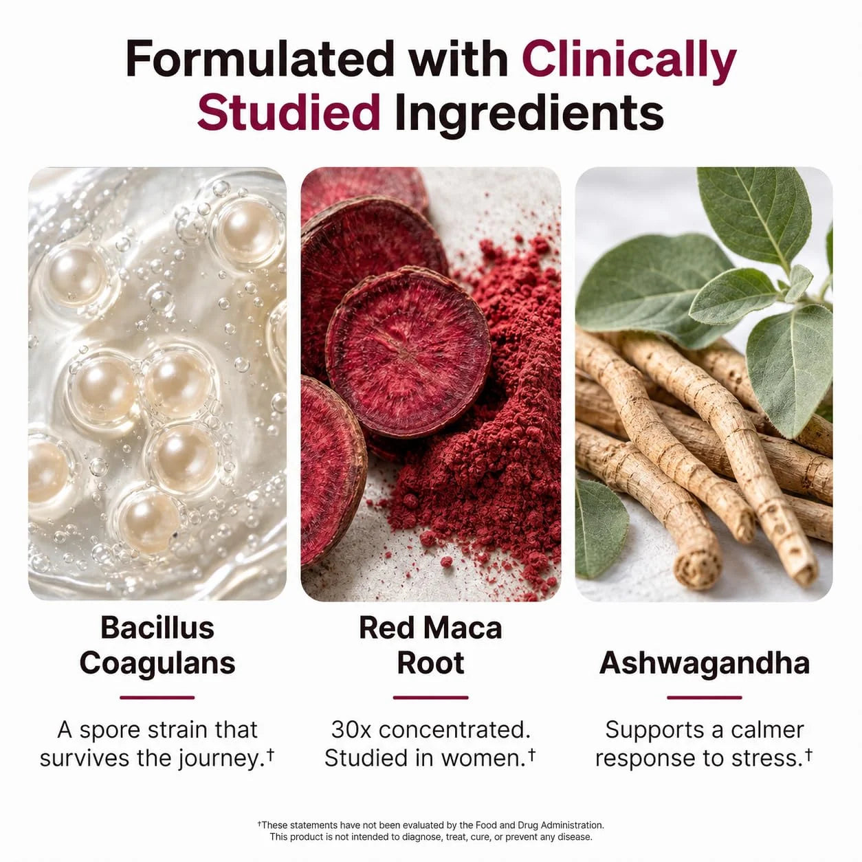 SLIPPERY ELM+ 8-IN-1 - Clinical Breakdown 7
