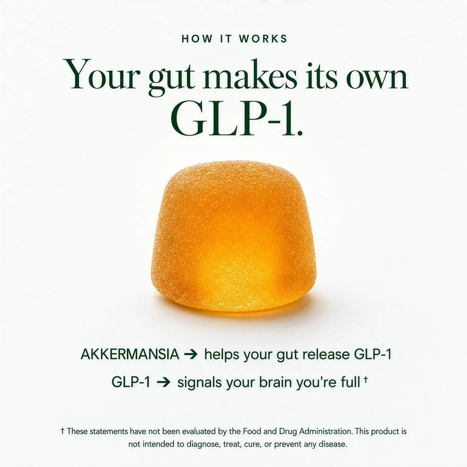 GLPLUS+ 8-IN-1 GUMMIES - Clinical Breakdown 2