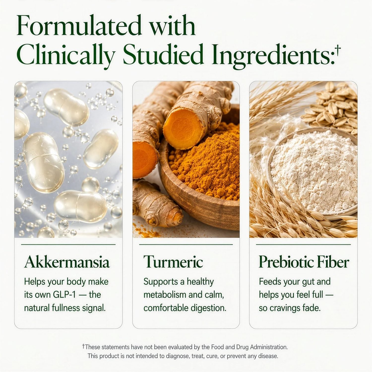 GLPLUS+ 8-IN-1 GUMMIES - Clinical Breakdown 6