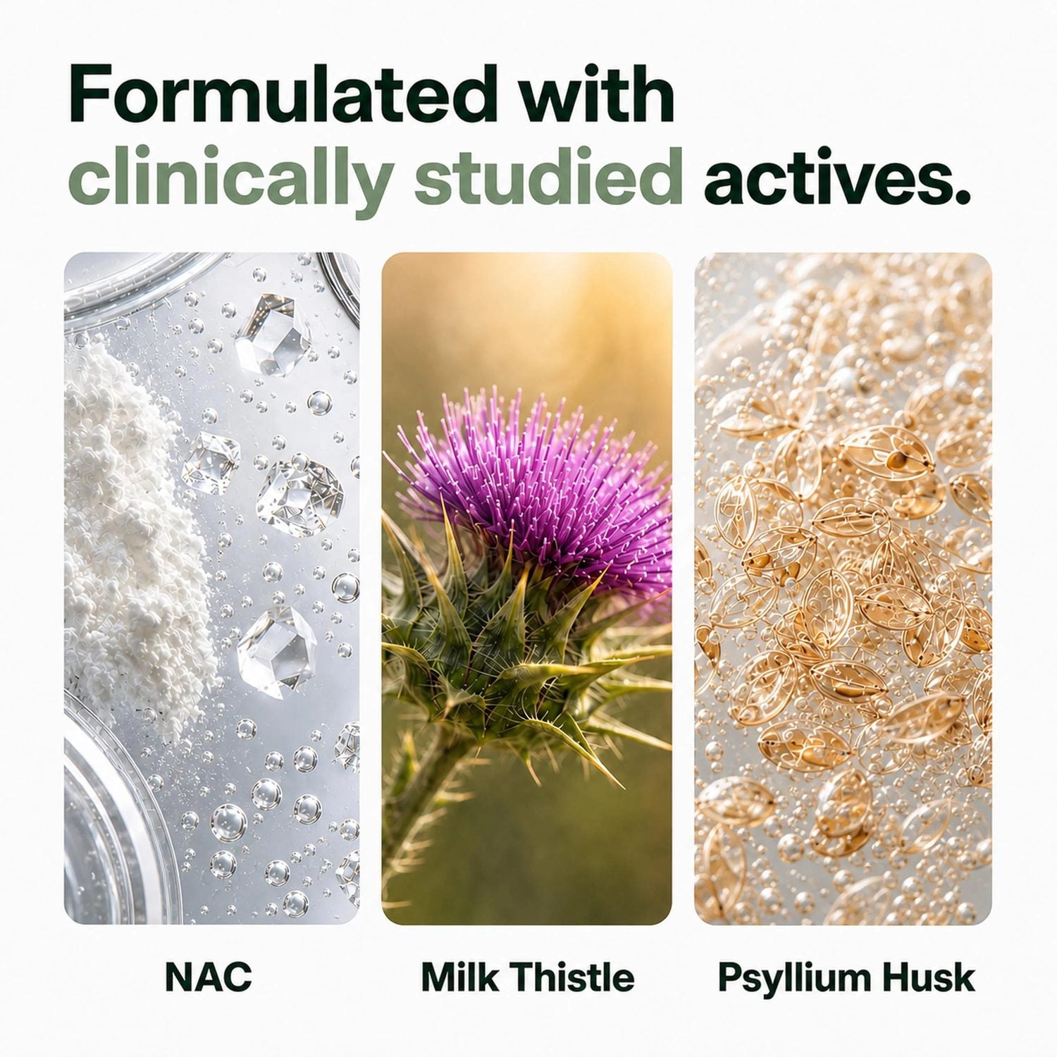 ZEOLITE+ 8-IN-1 - Clinical Breakdown 6