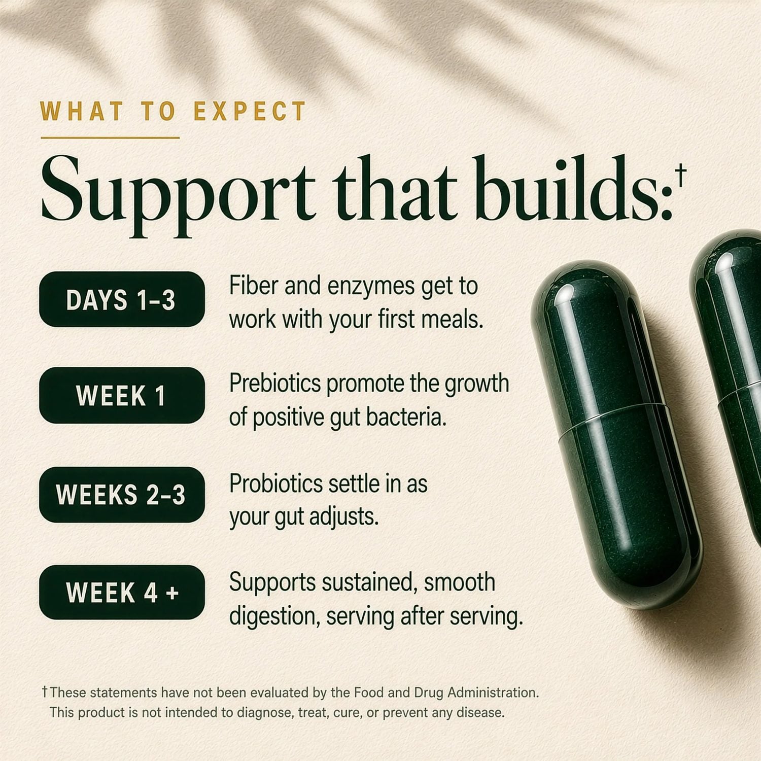GLPLUS+ 20-IN-1 SYNBIOTIC - Clinical Breakdown 2